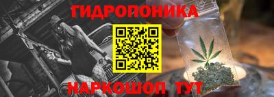 бошки Сланцы