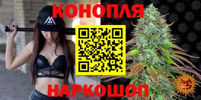 бошки Сланцы
