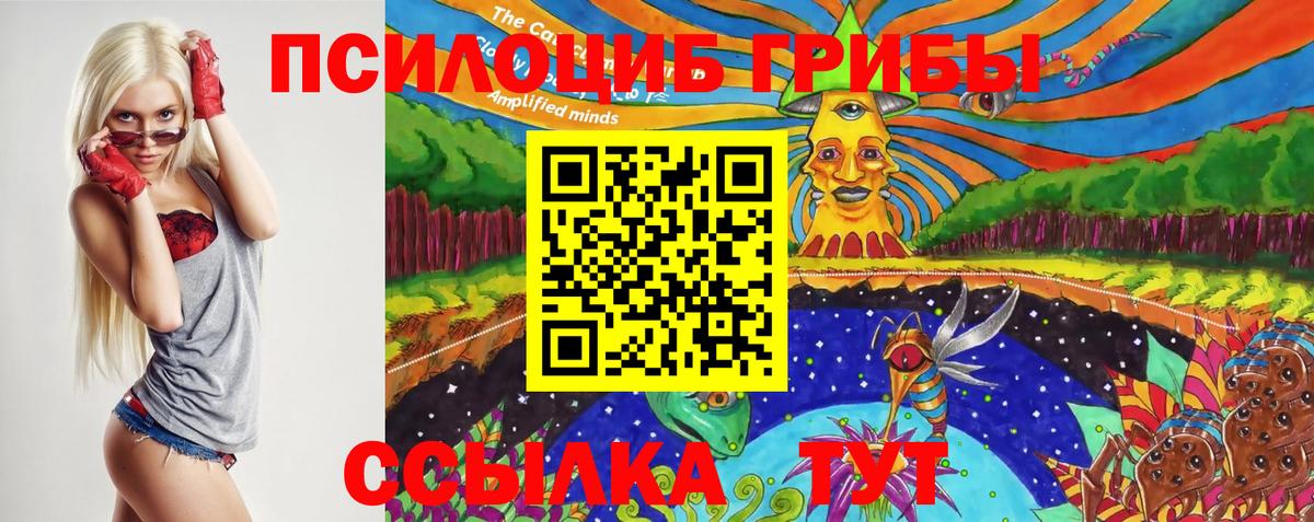 Псилоцибиновые грибы мицелий Полевской